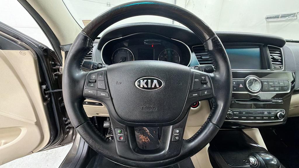 Thumbnail: 2015 Kia Cadenza - 10