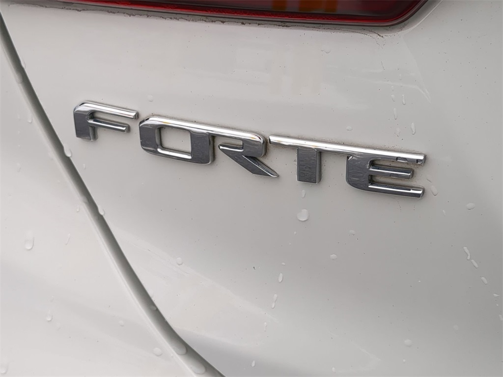 2019 Kia Forte LXS 29