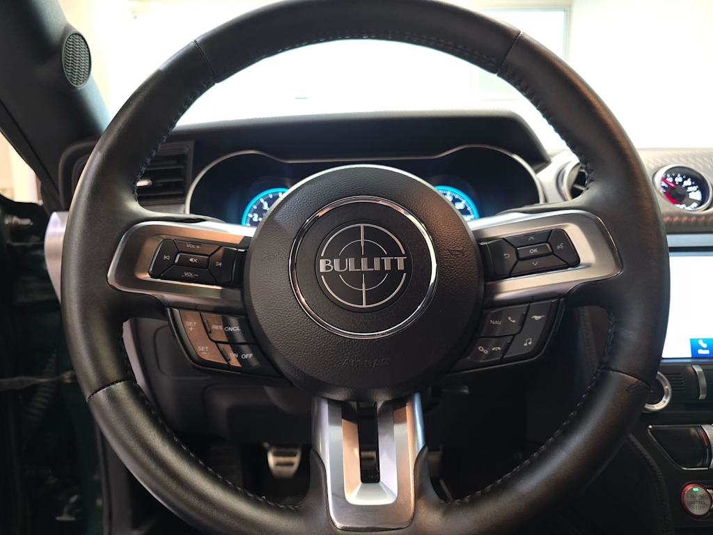 Thumbnail: 2019 Ford Mustang - 14
