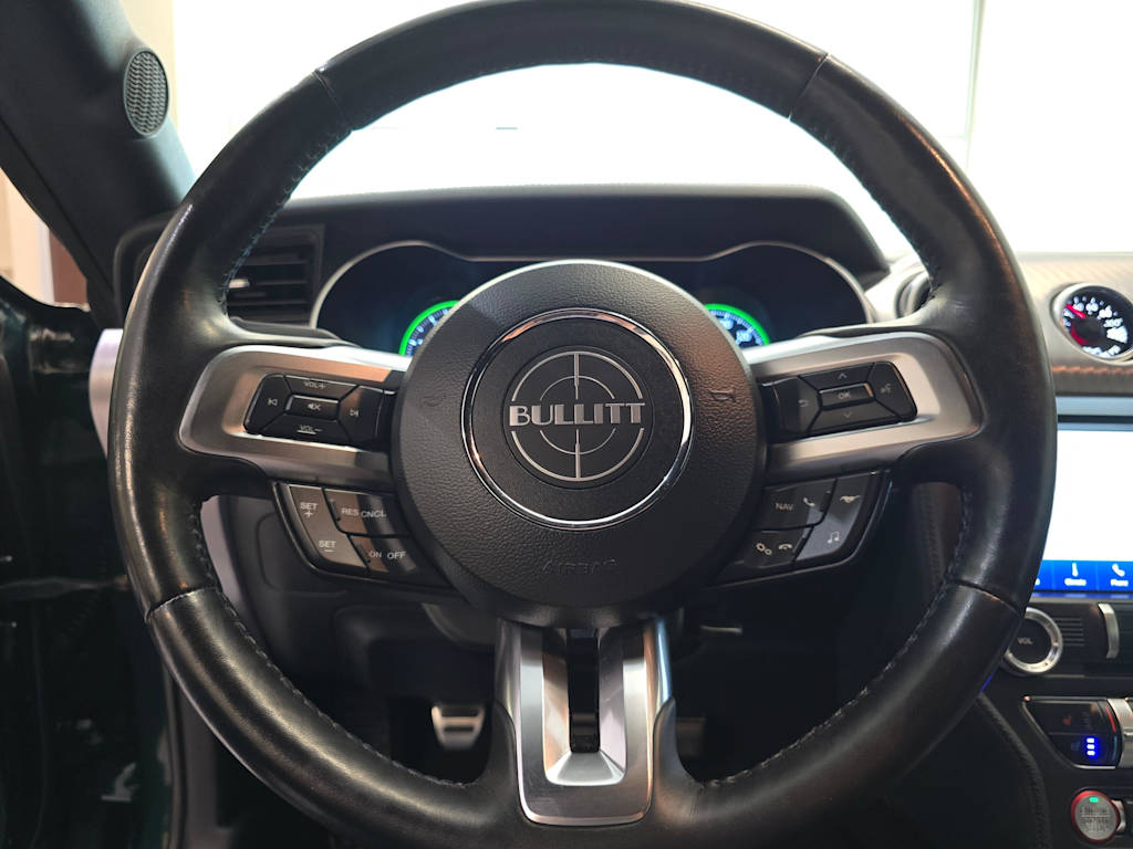 Thumbnail: 2019 Ford Mustang - 14