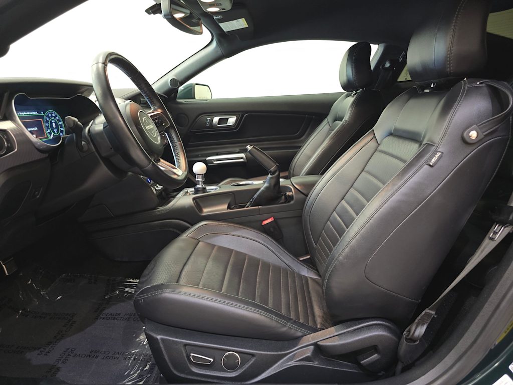 Thumbnail: 2019 Ford Mustang - 11