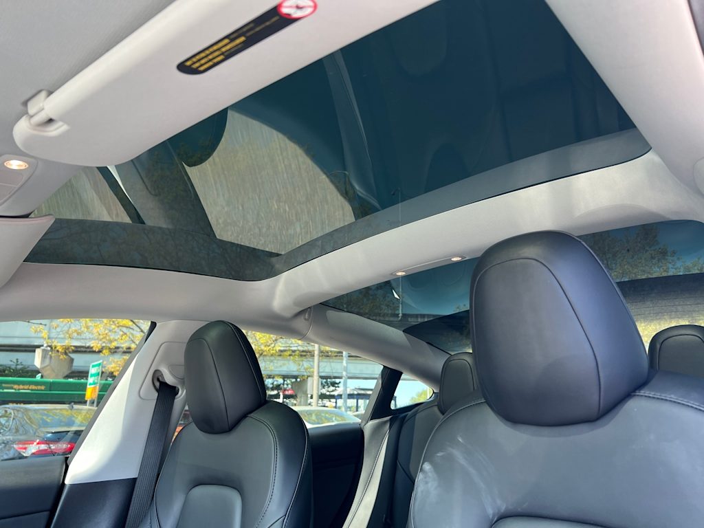 2021 Tesla Model 3 Long Range 19