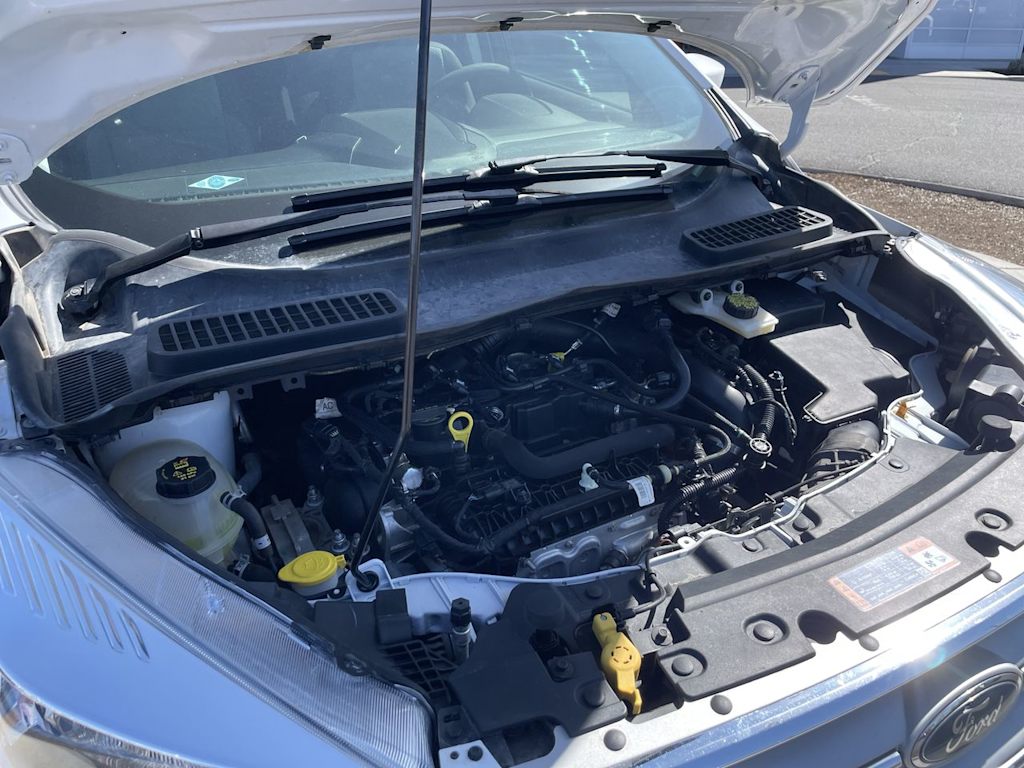 2019 Ford Escape SE 9