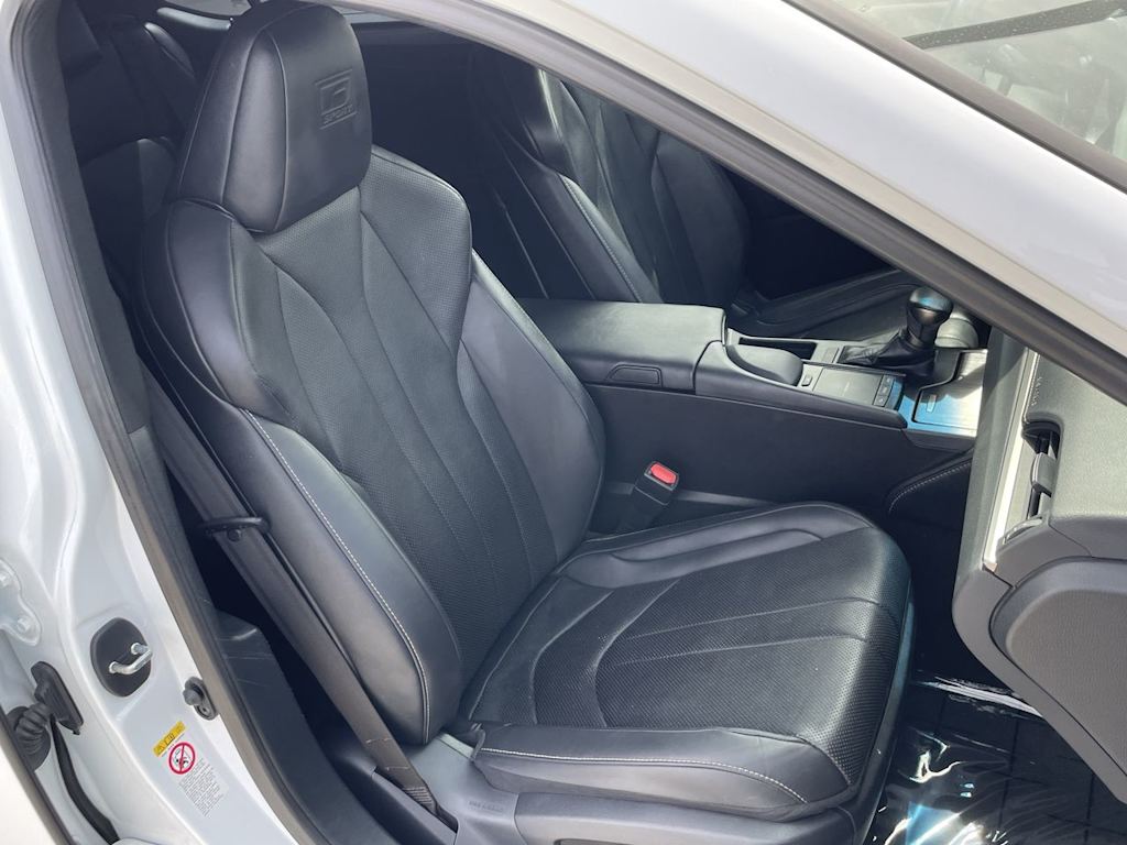 2019 Lexus ES 350 F Sport 16
