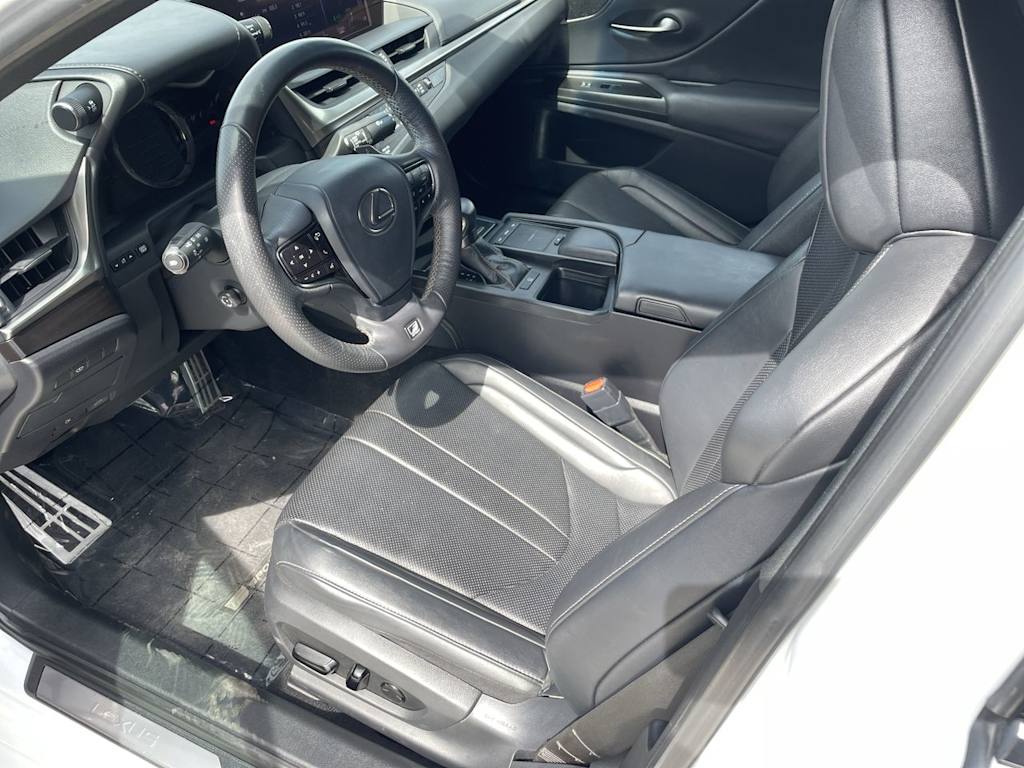 2019 Lexus ES 350 F Sport 10