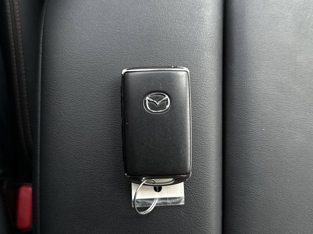 Thumbnail: 2025 Mazda CX-90 - 18