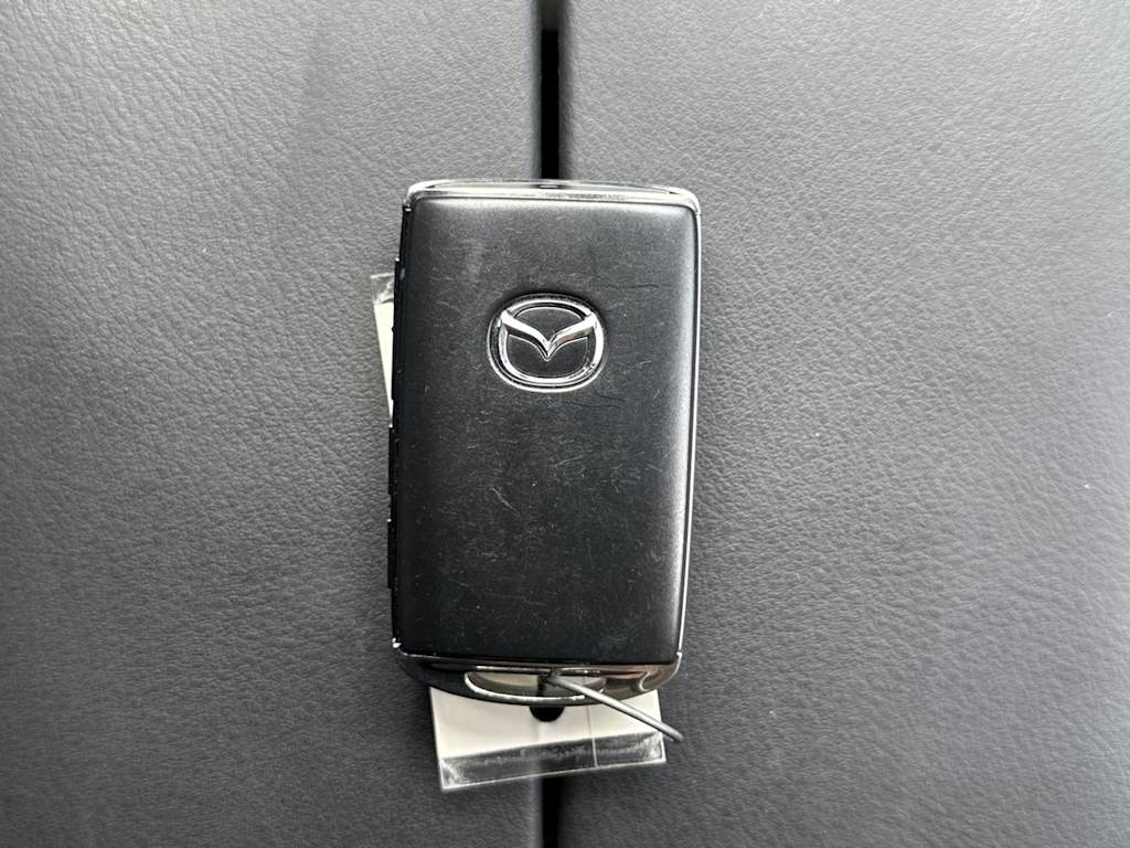 Thumbnail: 2022 Mazda CX-9 - 18