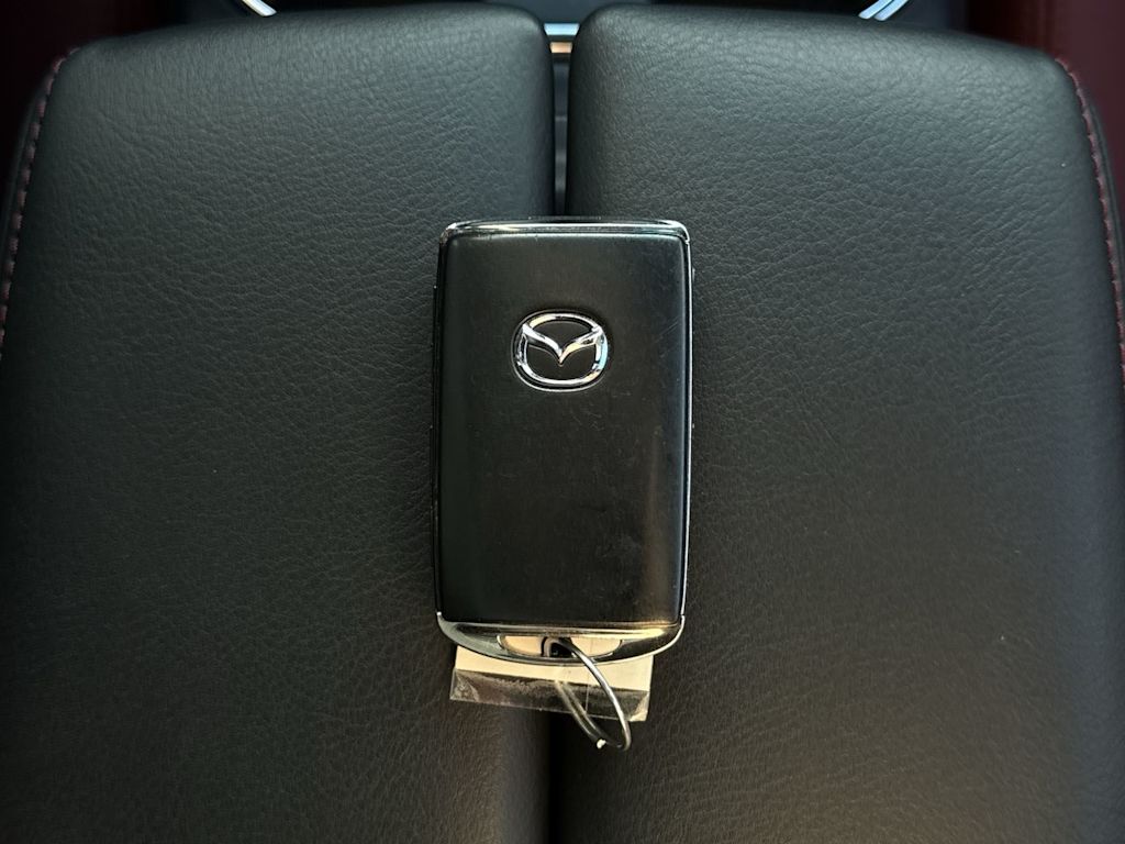 Thumbnail: 2022 Mazda CX-9 - 18