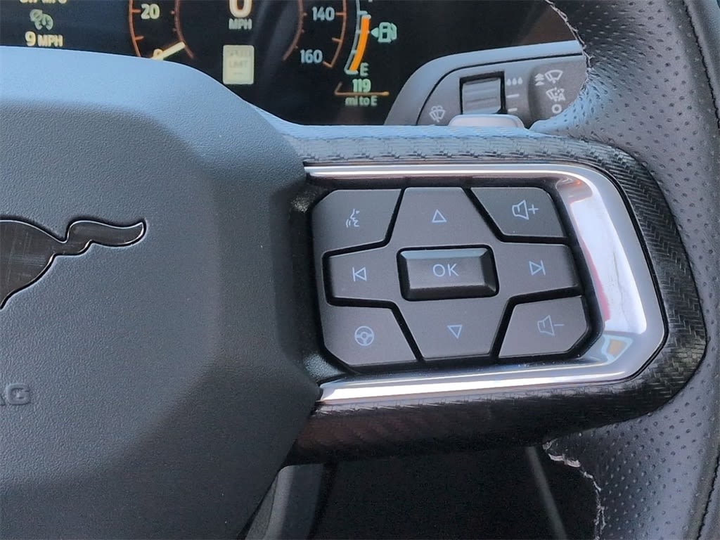 Thumbnail: 2025 Ford Mustang - 31