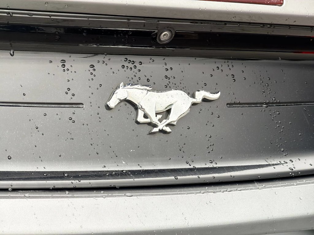 Thumbnail: 2021 Ford Mustang - 26