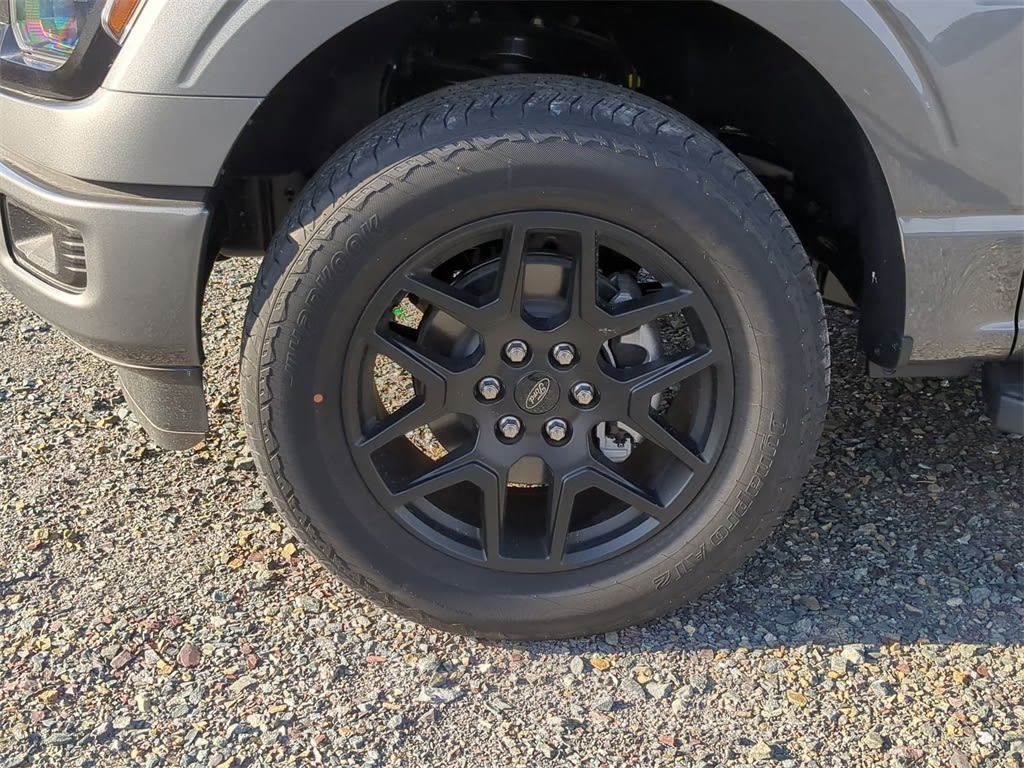 2025 Ford F-150 STX 6