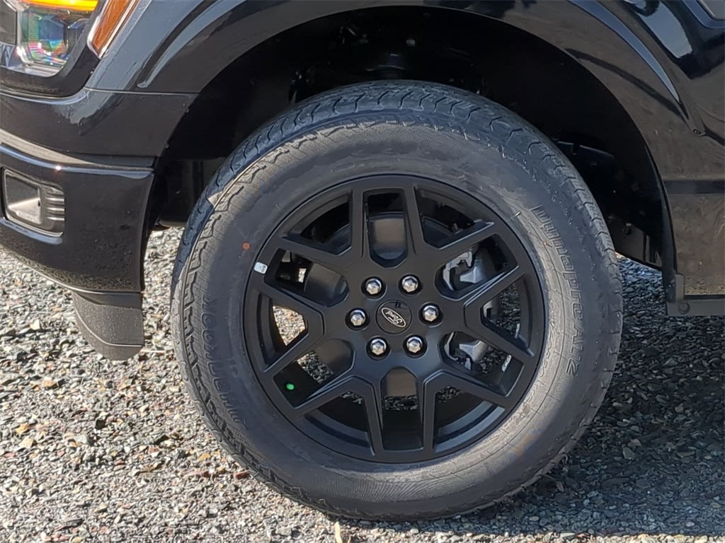 2025 Ford F-150 STX 25