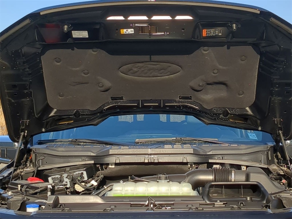 2025 Ford F-150 XLT 8