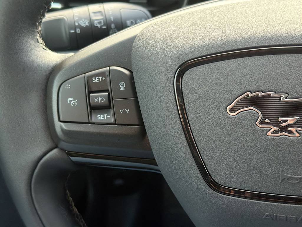 Thumbnail: 2025 Ford Mustang Mach-E - 30