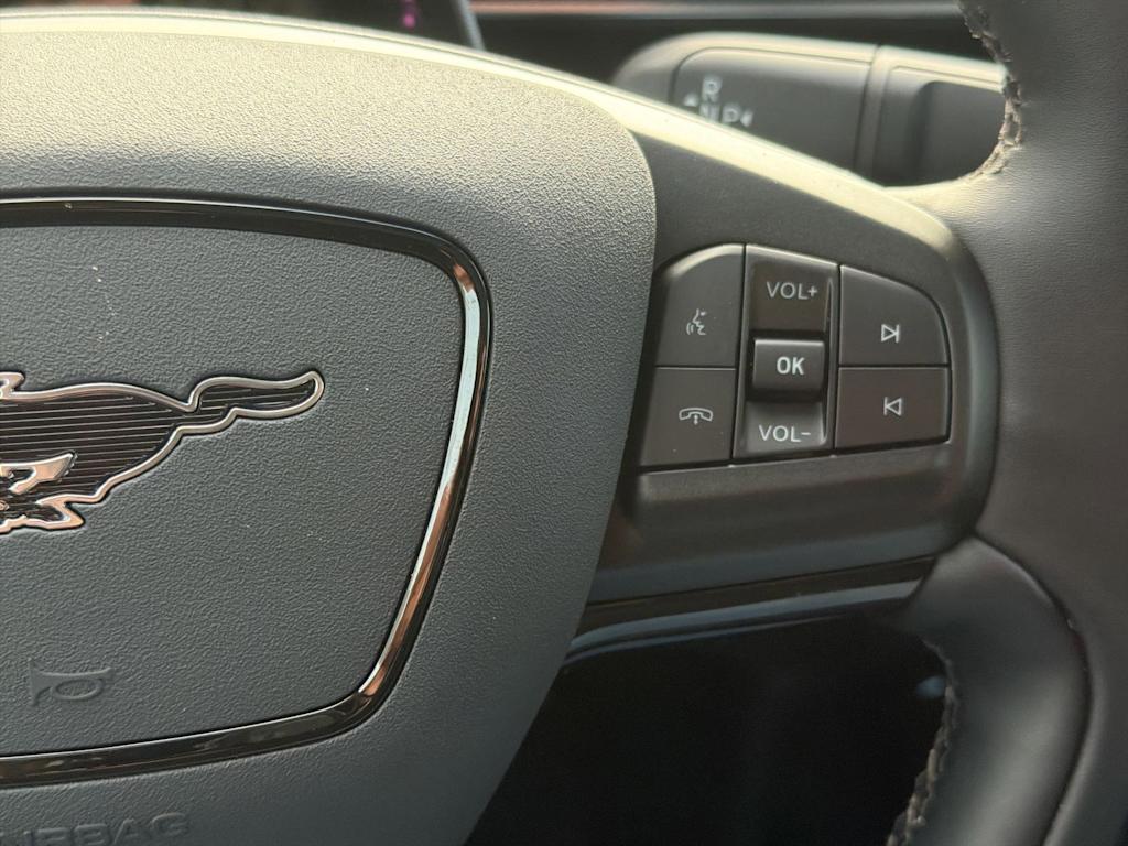 Thumbnail: 2025 Ford Mustang Mach-E - 31