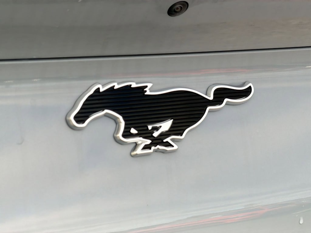 Thumbnail: 2025 Ford Mustang Mach-E - 23