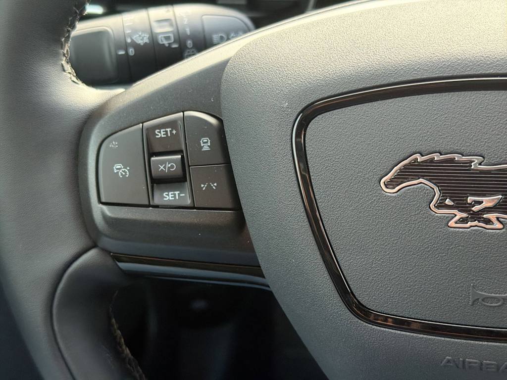 Thumbnail: 2025 Ford Mustang Mach-E - 30