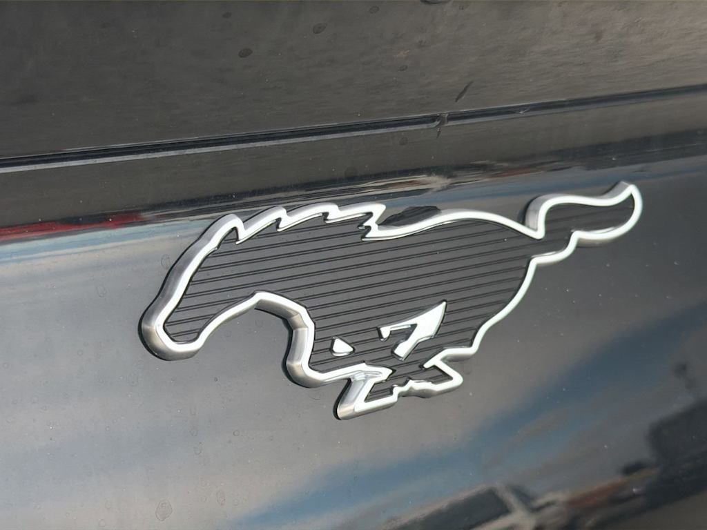 Thumbnail: 2025 Ford Mustang Mach-E - 23