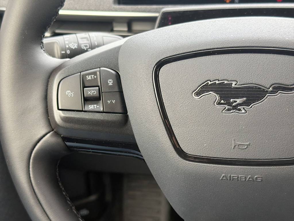 Thumbnail: 2025 Ford Mustang Mach-E - 29