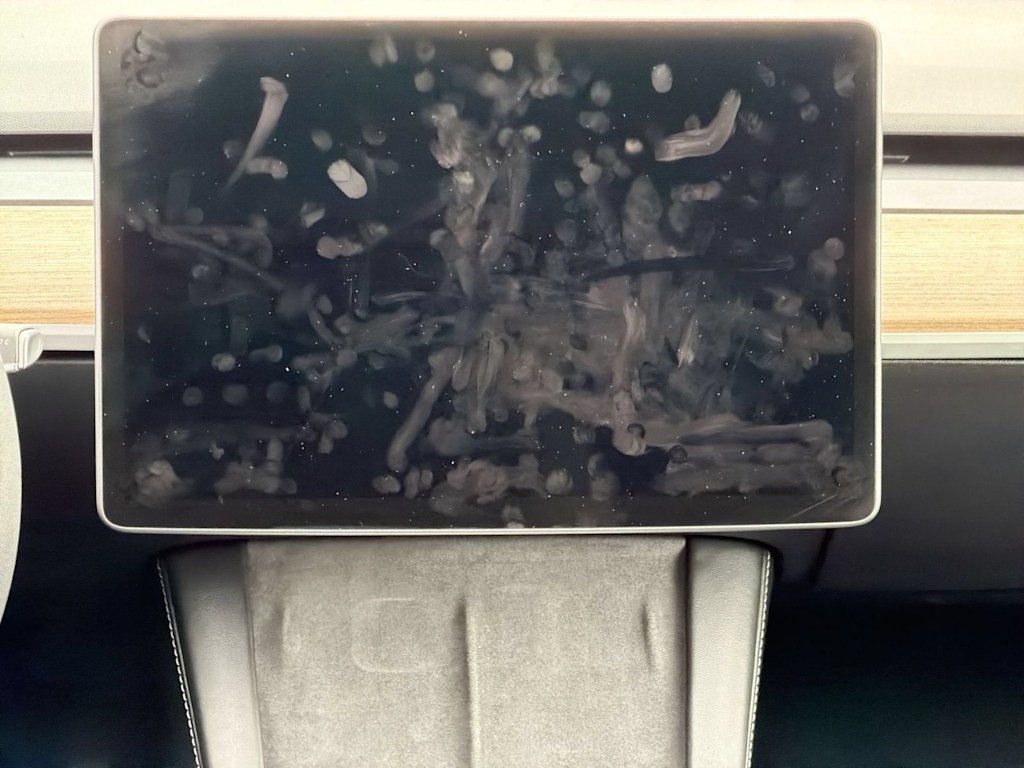 Thumbnail: 2024 Tesla Model Y - 15
