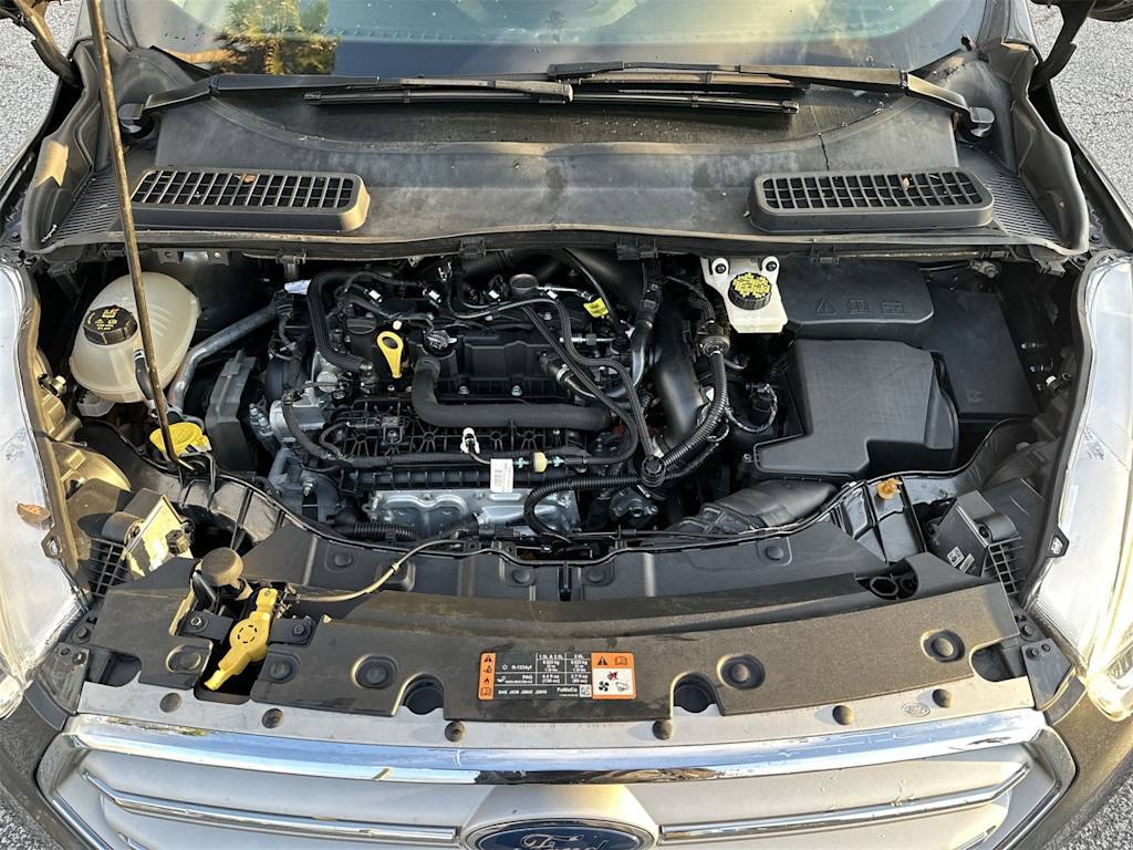 Thumbnail: 2019 Ford Escape - 7