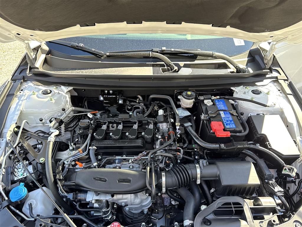 Thumbnail: 2025 Honda Accord - 5