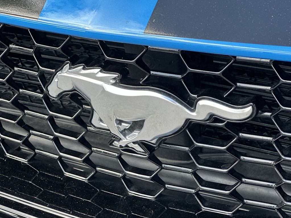 Thumbnail: 2024 Ford Mustang - 19