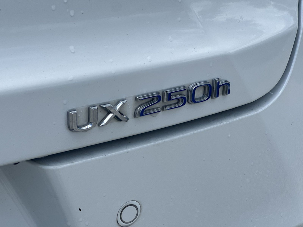 Thumbnail: 2019 Lexus UX - 19