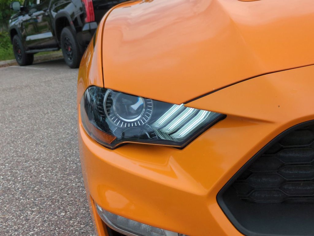 Thumbnail: 2019 Ford Mustang - 16