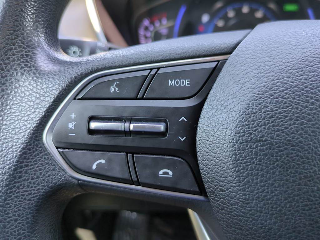 Thumbnail: 2019 Hyundai Santa Fe - 25