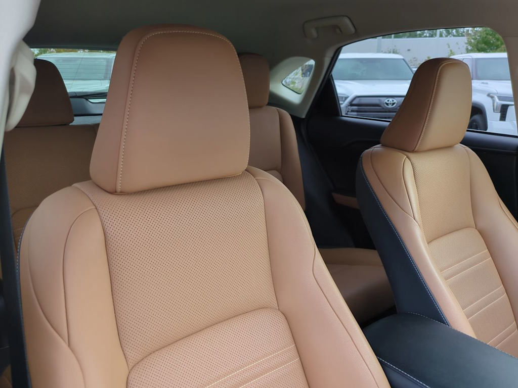 Thumbnail: 2020 Lexus NX - 10