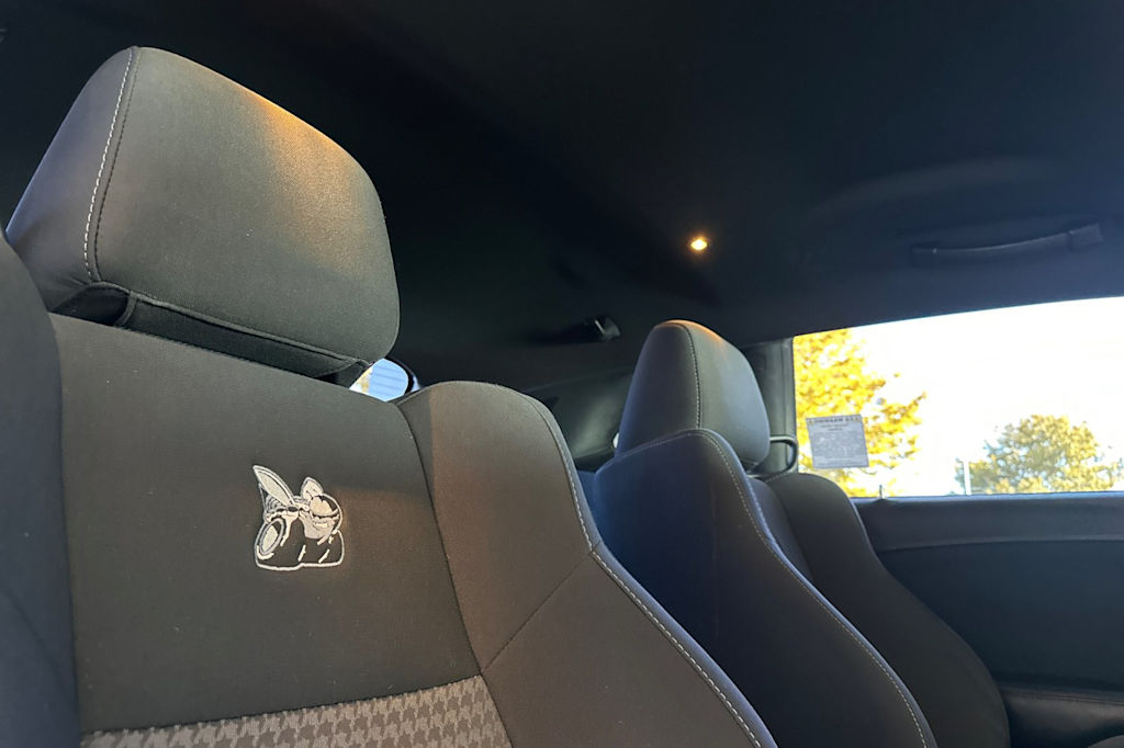 Thumbnail: 2019 Dodge Challenger - 24