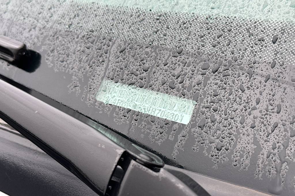 Thumbnail: 2019 Dodge Grand Caravan - 22