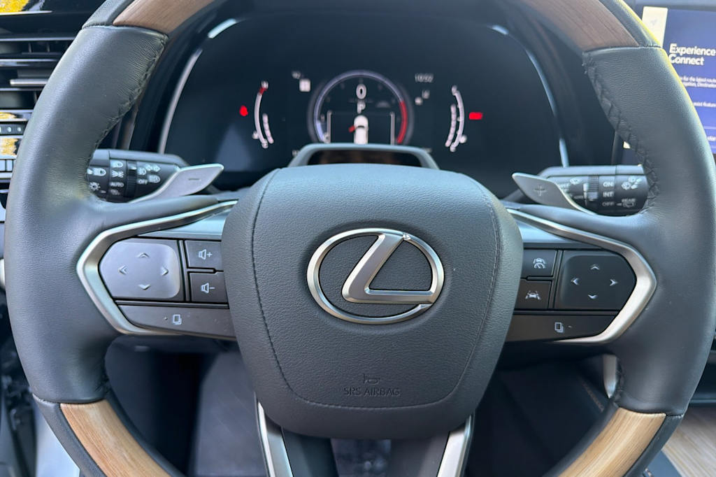 Thumbnail: 2024 Lexus RX - 29