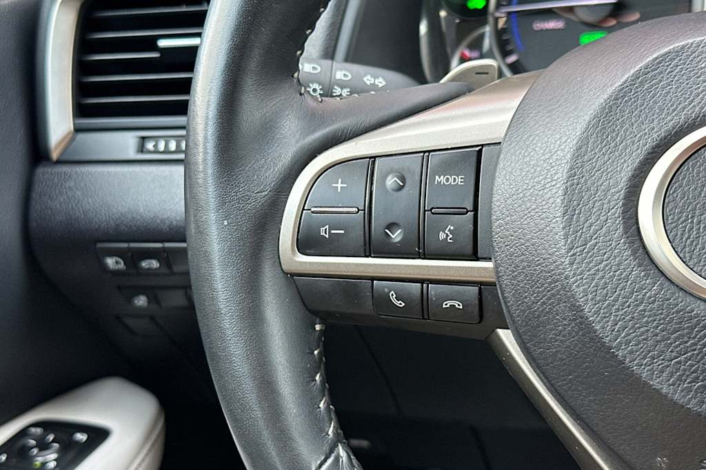 2022 Lexus RX Hybrid 450h 30