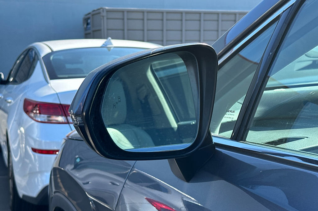 Thumbnail: 2019 Lexus RX - 21
