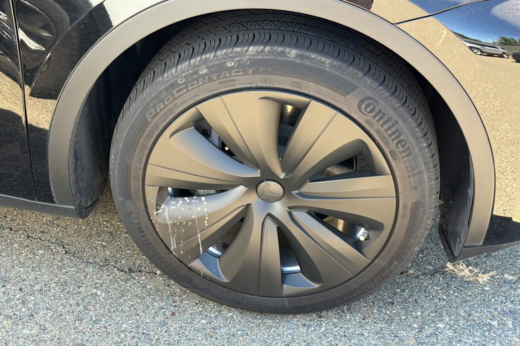 Thumbnail: 2023 Tesla Model Y - 6