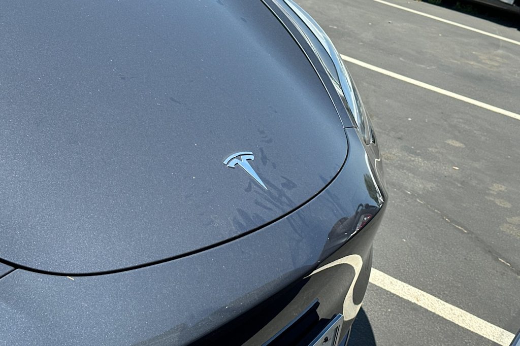 Thumbnail: 2023 Tesla Model Y - 14
