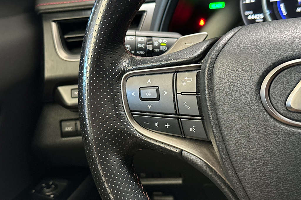 2022 Lexus UX 250h 30