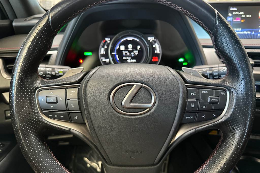 2022 Lexus UX 250h 29