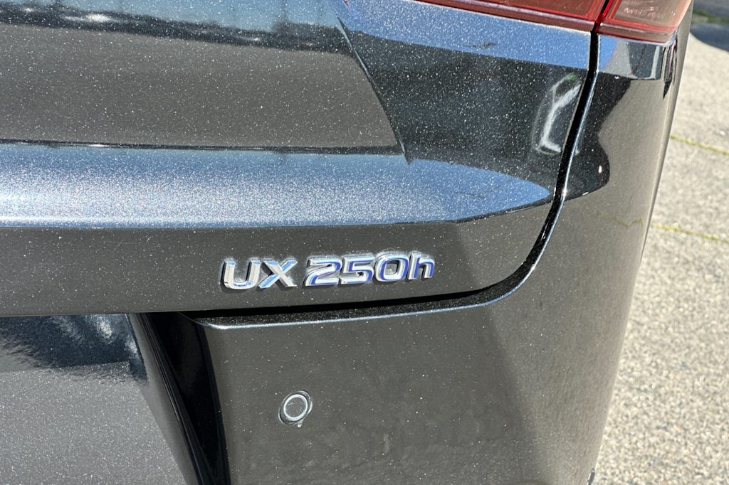 2022 Lexus UX 250h 7