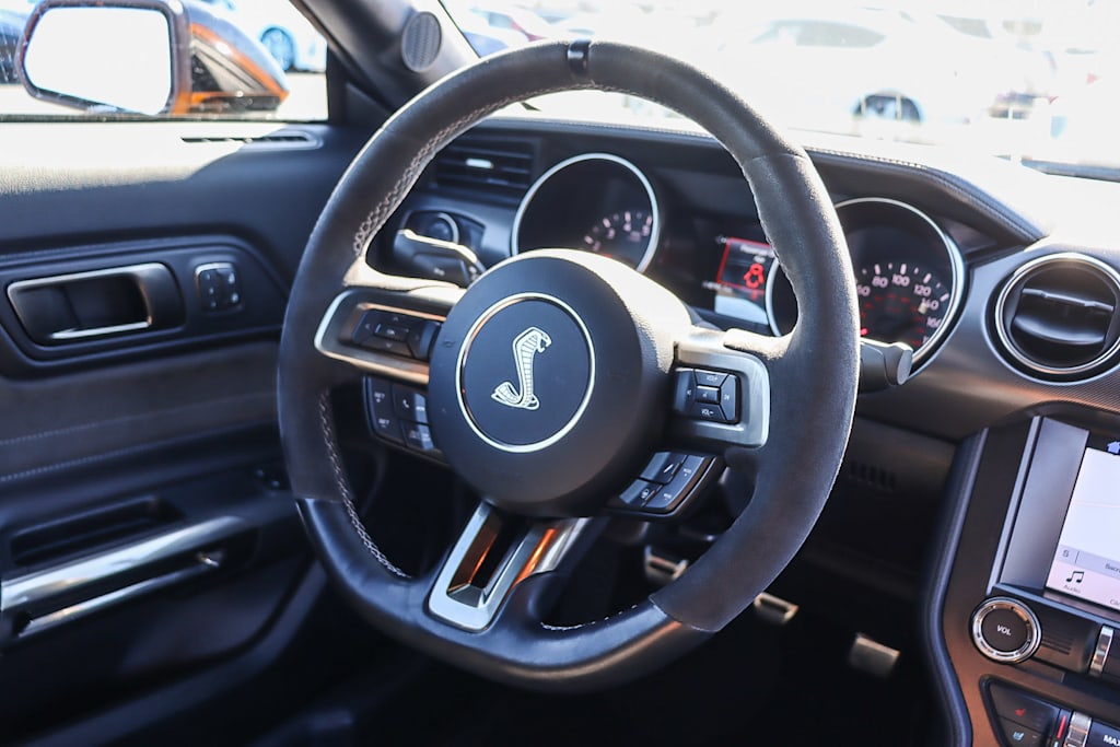 2019 Ford Mustang Shelby GT350 13