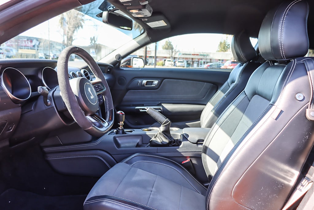 2019 Ford Mustang Shelby GT350 10