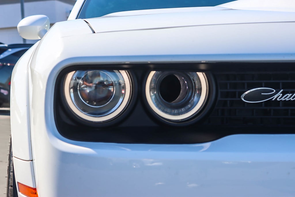 Thumbnail: 2019 Dodge Challenger - 19