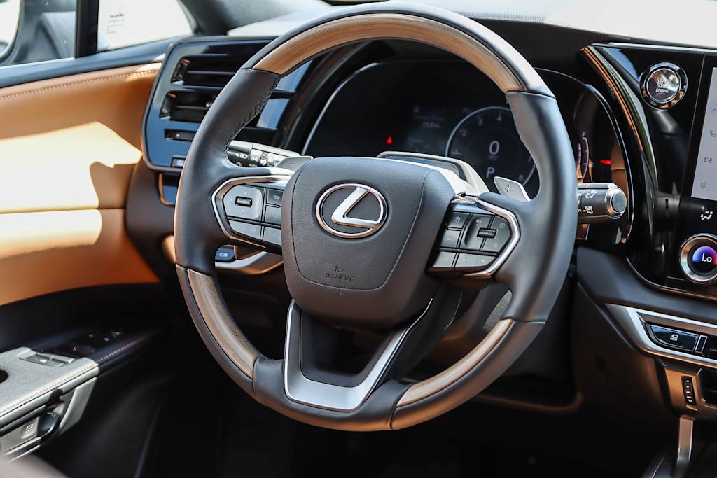 2023 Lexus RX 350 Premium 8