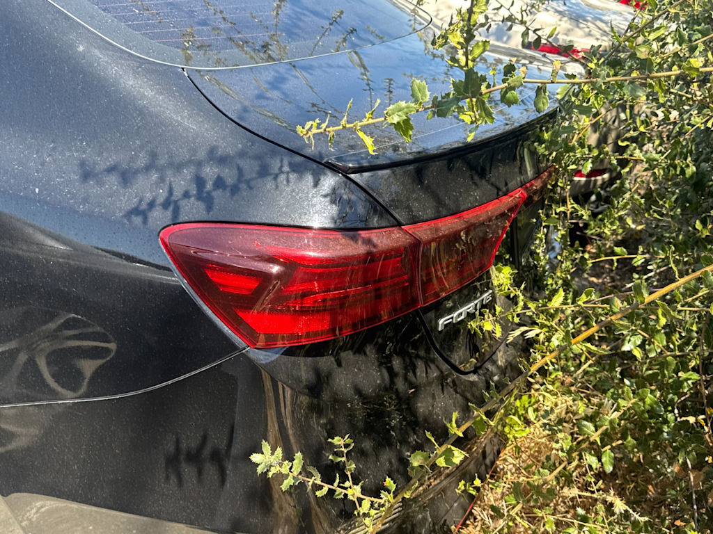 Thumbnail: 2024 Kia Forte - 4