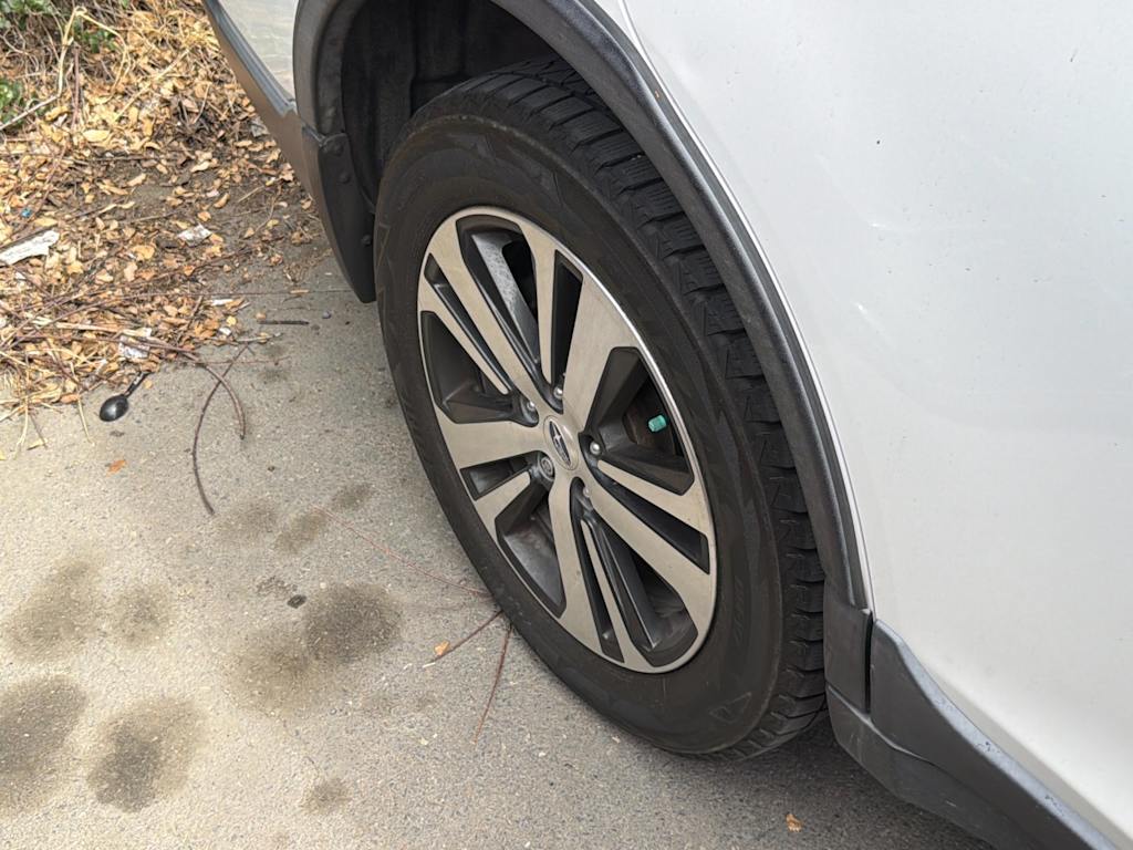Thumbnail: 2019 Subaru Outback - 11