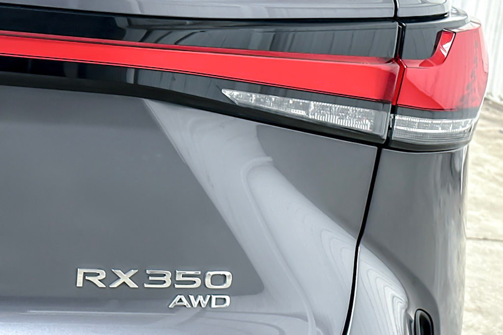 2023 Lexus RX 350 Premium+ 28