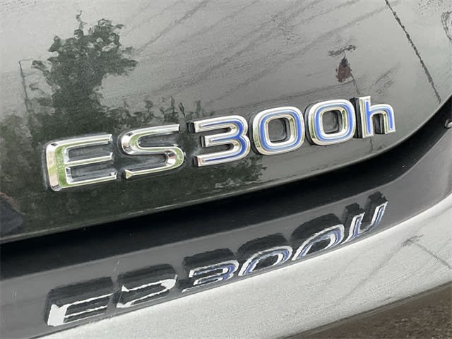 2021 Lexus ES Hybrid 300h 5