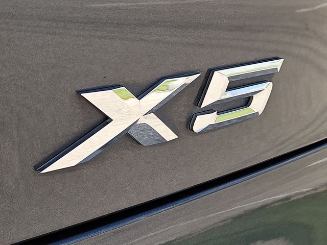 Thumbnail: 2019 BMW X5 - 24